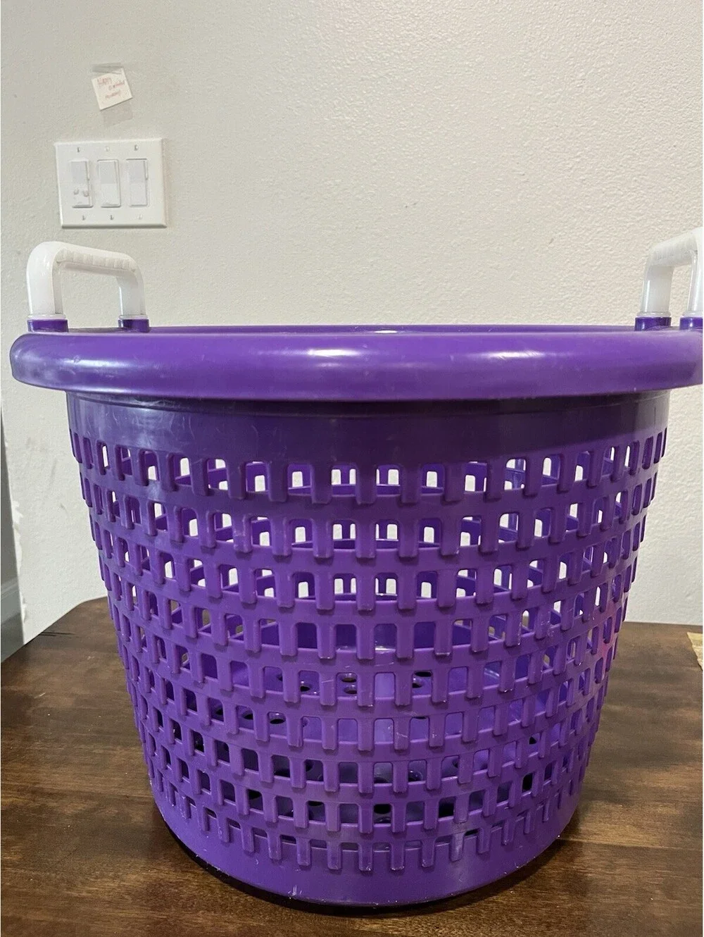 Joy Fish Handy Fish Basket Pool Skimmer Basket Plastic Sturdy Purple 16” By 12”